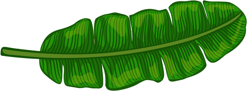 Banana Leaf | Pasadena Childrens Dentistry