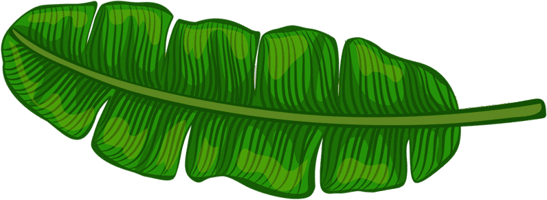 Green Leaf | Pasadena Childrens Dentistry